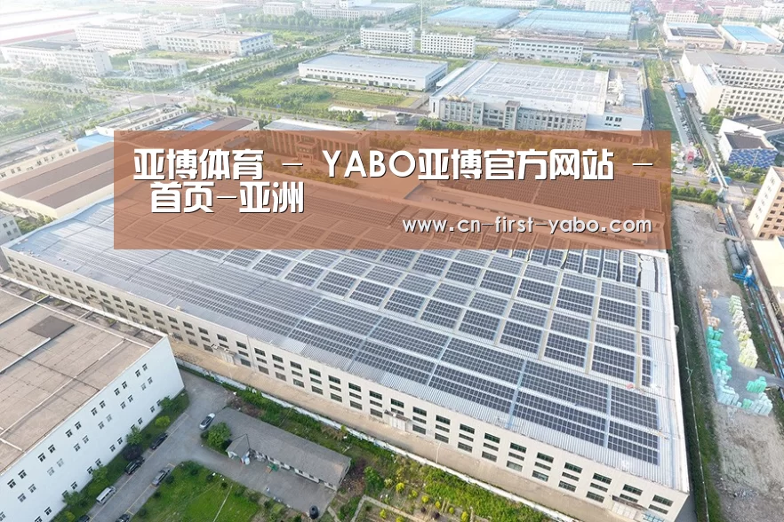 案例展示二