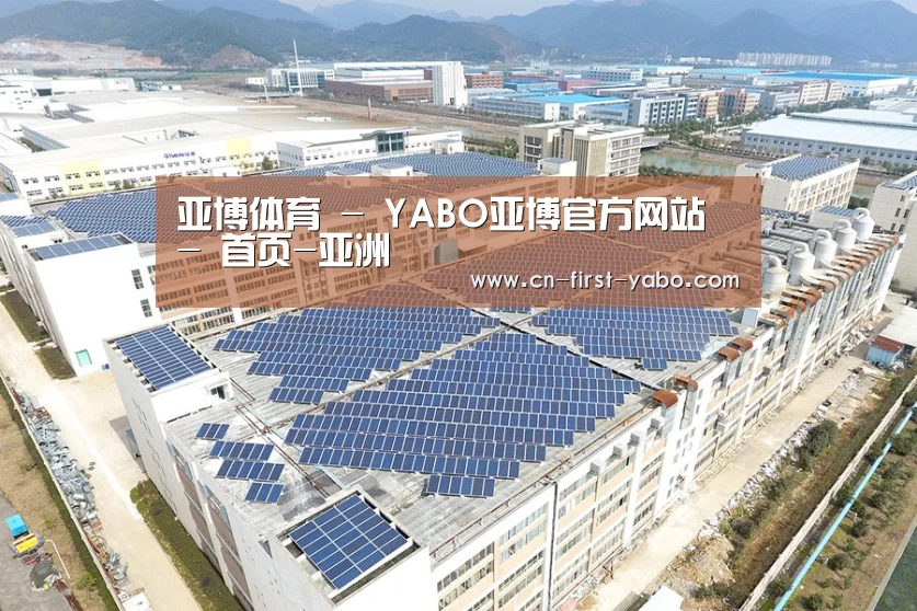 案例展示二