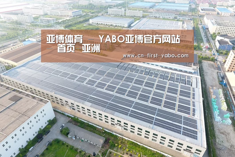 案例展示二