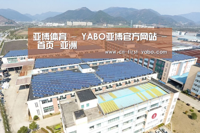 案例展示三