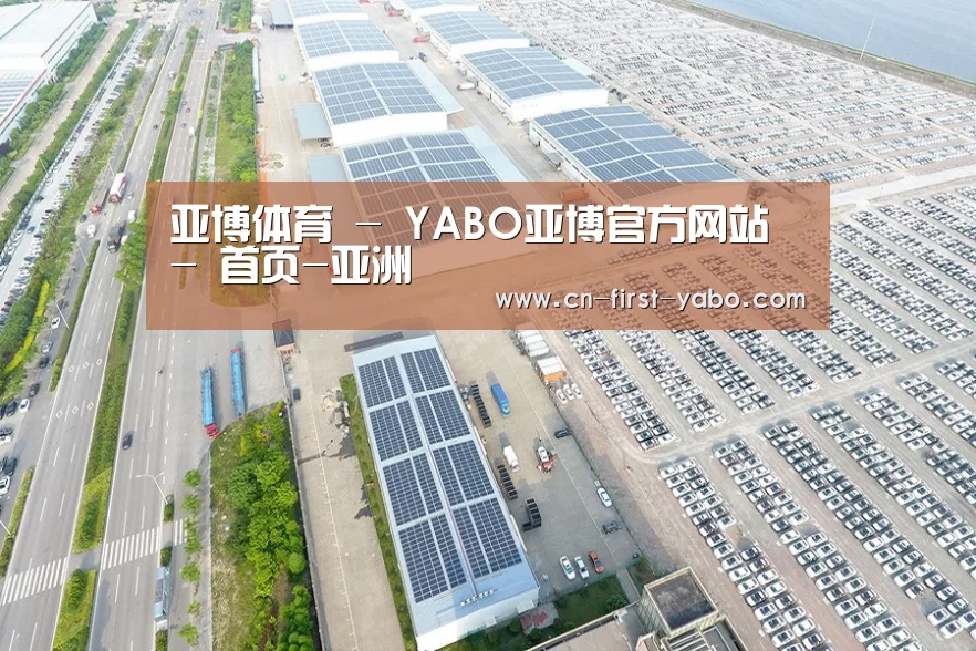 案例展示二