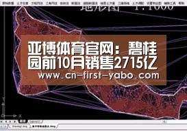 亚博体育官网:碧桂园前10月销售2715亿元(图1) 亚博官网